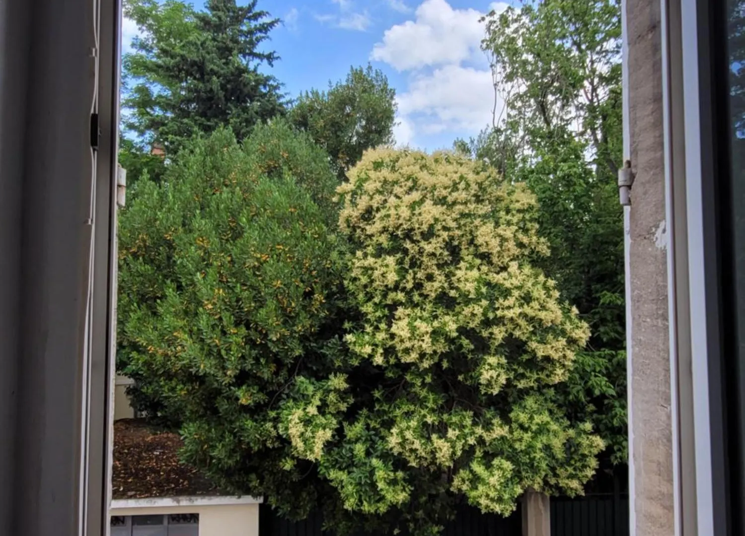 Studio Buffon Apartment Avignon