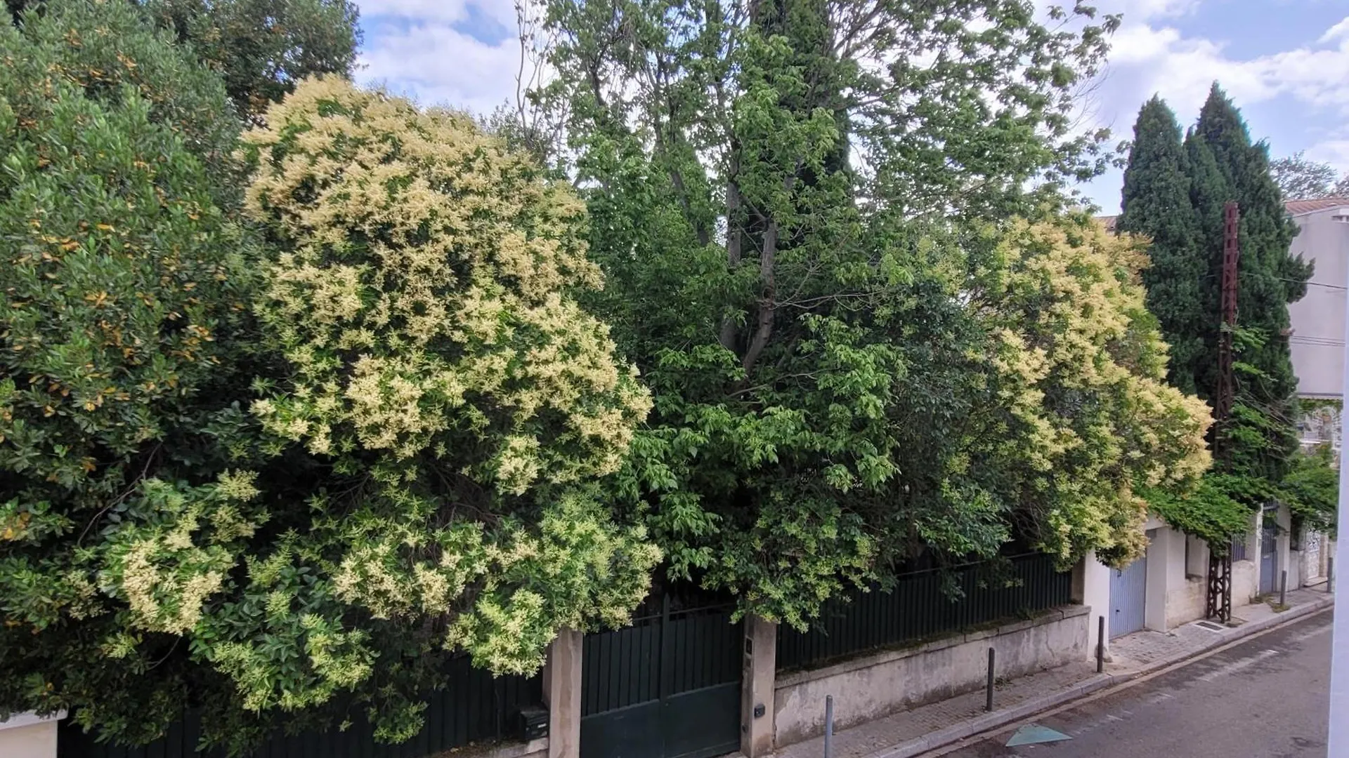 Studio Buffon Apartment Avignon 0*,  France